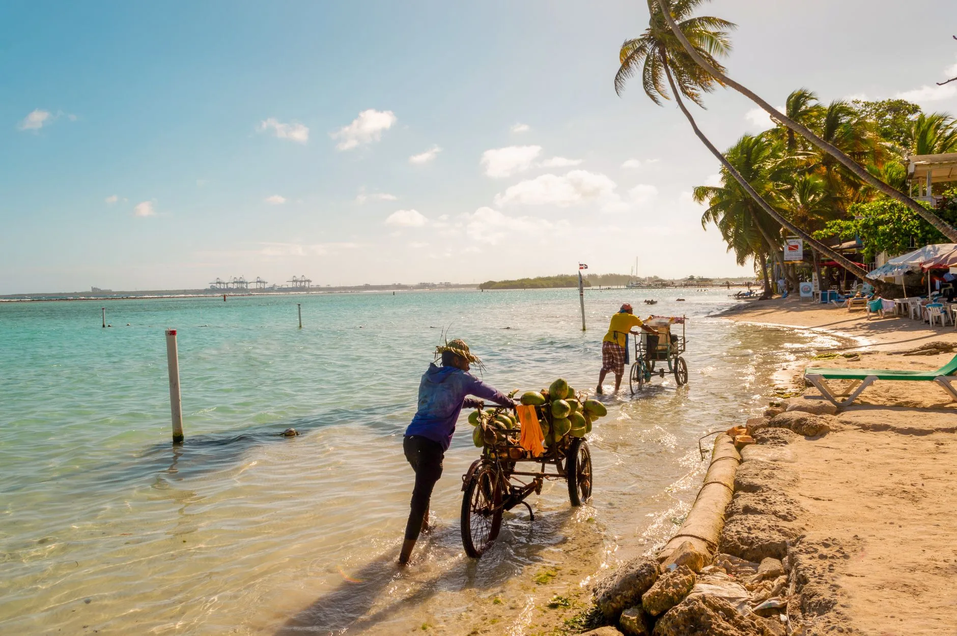 Plage de sable clair bordée de cocotiers en République dominicaine