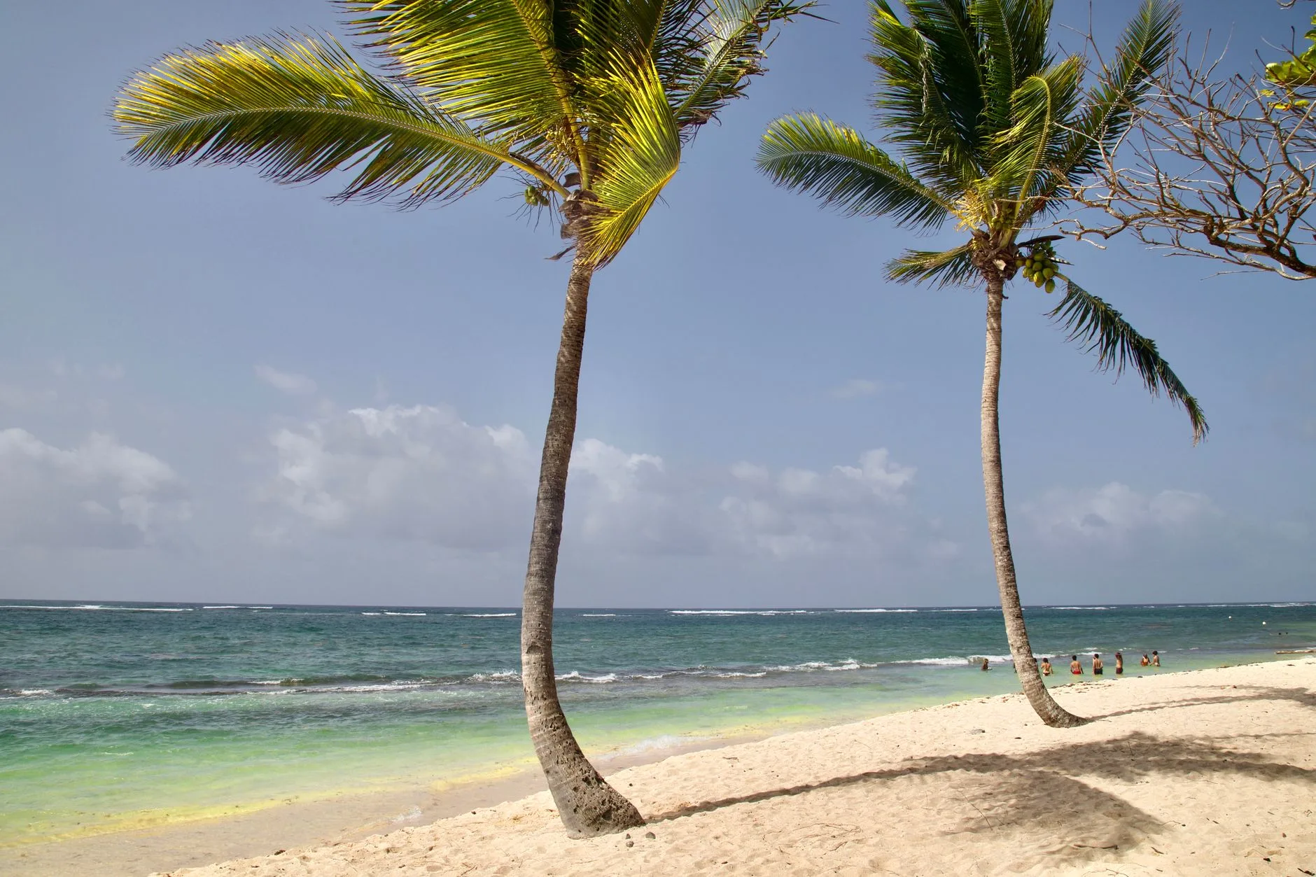 Punta Cana et Bávaro : la côte est des resorts
